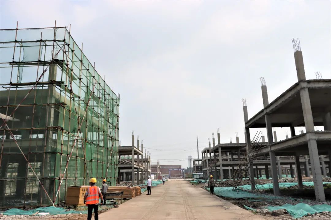 6d978364f3119bb8183a0d11cfb816cd william威廉亚洲官方(中国大陆)官方网站